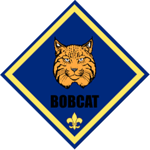 Bobcat